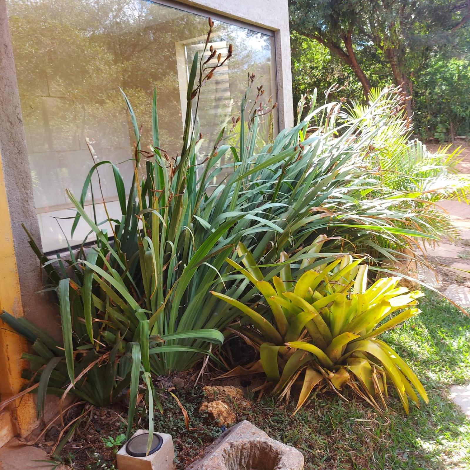 Casas E Apartamentos Da Praia, Lapinha Na Beira Do Lago Santana Do Riacho Eksteriør bilde